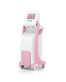 產后康復綜合治療儀 鄭州賽福特醫療設備代理加盟 招商代理 東方醫療器械網